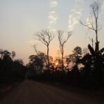 Dja Reserve – UNESCO Site and Safari in Cameroon